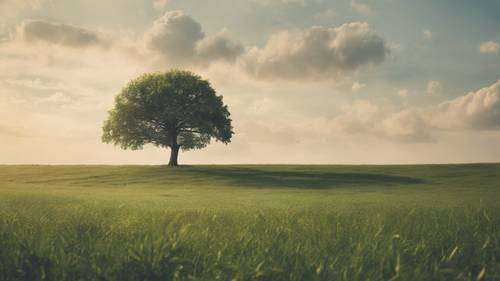 A single tree in the middle of a serene field, with a hopeful quote written in its branches. Tapetai [785930cc741543869eea]