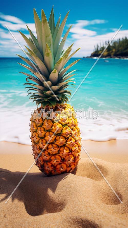 Ananas de plage ensoleillée
