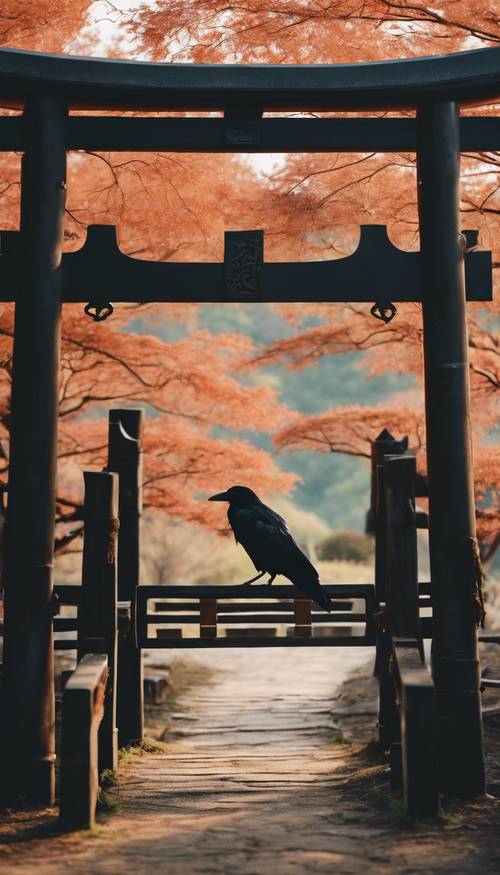 一只孤独的黑色日本乌鸦栖息在古老的鸟居门上。
