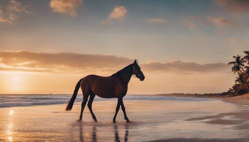 一匹身着学院风服装、带有斑点和戴着漂亮帽子的光滑棕色马在日落时分漫步在海滩上。