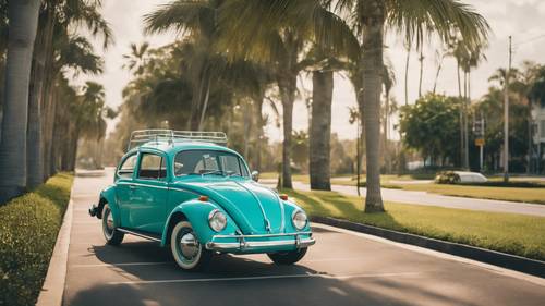 一辆绿松石色的老式大众甲壳虫汽车沿着棕榈树成荫的林荫大道行驶