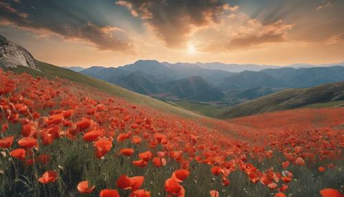 Un panorama di montagne in fiore, ricoperte da splendidi papaveri, sotto un limpido cielo primaverile.