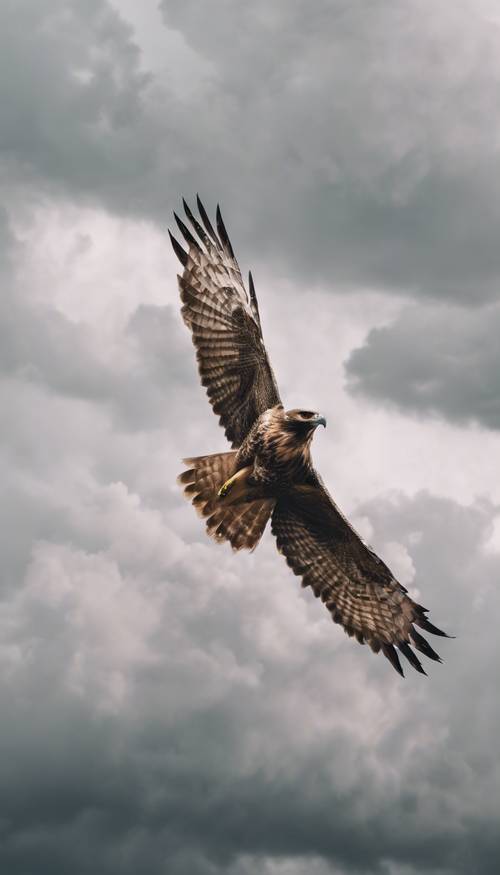 An intimidating hawk soaring high in the sky amidst the fleeting clouds.
