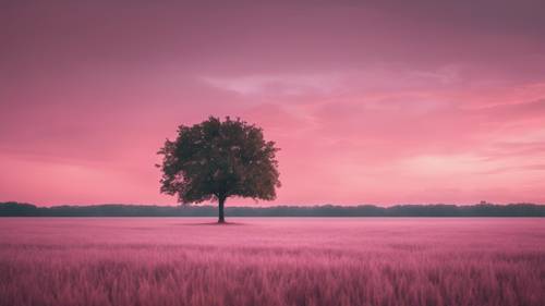 Uma visão serena de um campo vazio com uma única árvore sob nuvens rosadas.