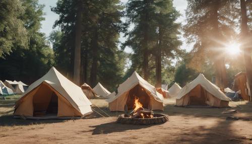 Тихий день в типичном летнем лагере с расставленными палатками и готовым к разжиганию костром.