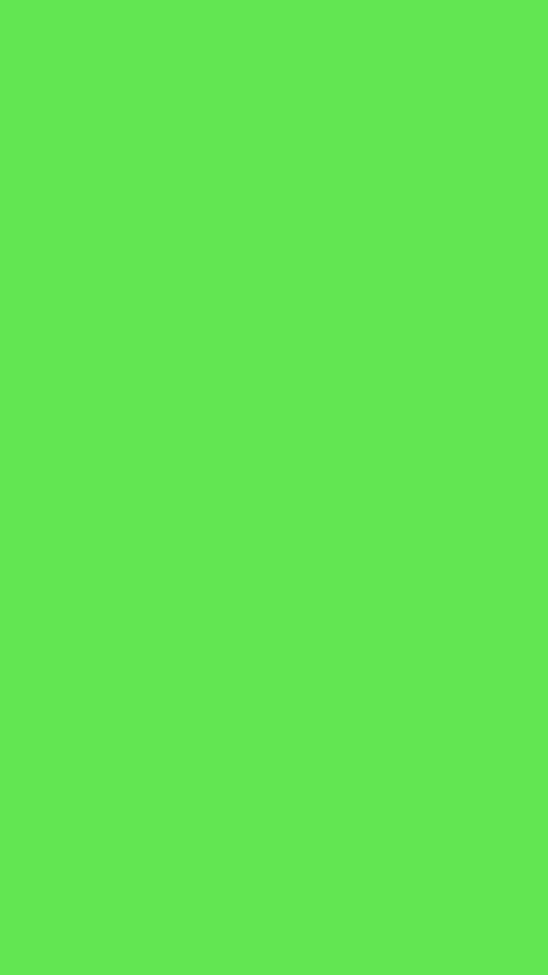 Bright Green Color for Your Screen Background Kertas dinding [2b819cf8d3794318aa7c]