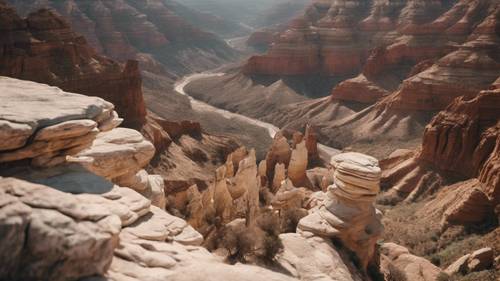 In the sweeping view of a vast canyon, aesthetic quotes formed from the rock formations.