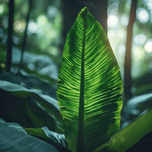 生物发光森林中一片发出柔和光芒的香蕉叶。