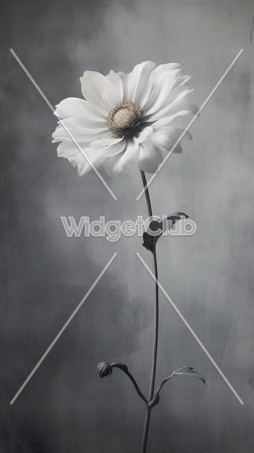 Bunga Putih Elegan dengan Latar Belakang Abu-Abu
