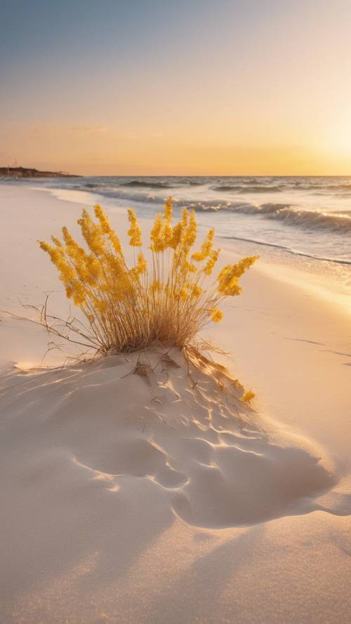 Eine leuchtend gelbe Sonne geht über einem ruhigen weißen Sandstrand unter.