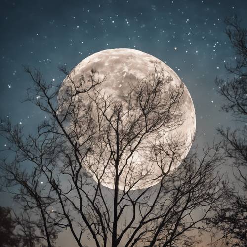Der helle Mond verhüllt sich schüchtern hinter dünnen Wolken in einer ruhigen Nacht.