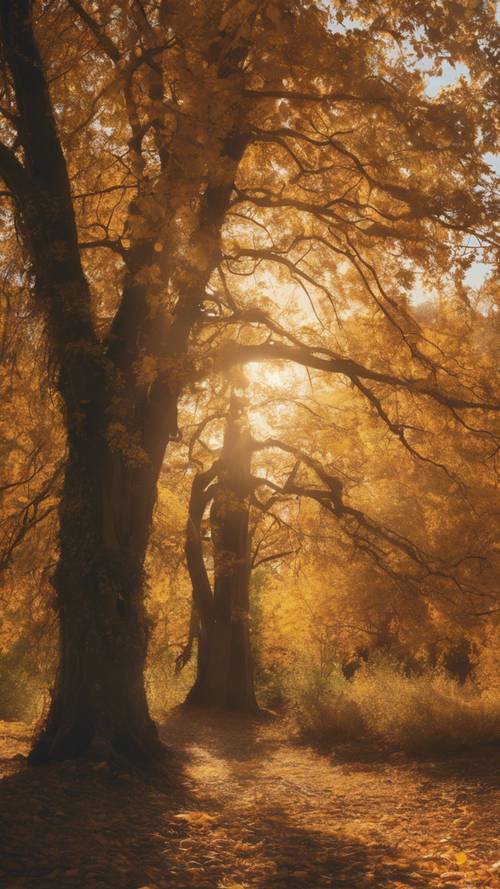 A tranquil autumn landscape bathed in golden sunlight.