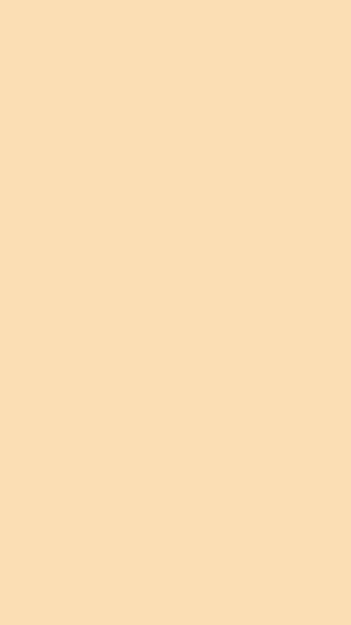 Bright Apricot Color Simple Background Tapeta [cb631b82c0d14233967a]