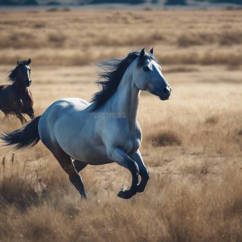 Wild horses galloping freely across a sapphire blue plain.