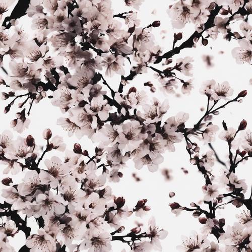 Siluetas negras de flores de cerezo esparcidas sobre un patrón de tela blanca sin costuras.