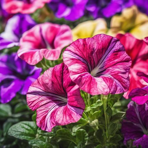 Vibrant digital artwork of petunias with an abstract modern background.