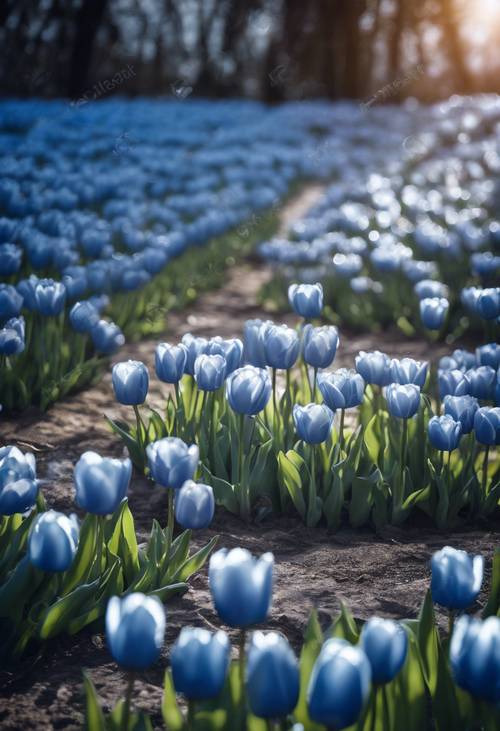 Uma cena etérea de tulipas azuis brilhantes brilhando sob o luar prateado.