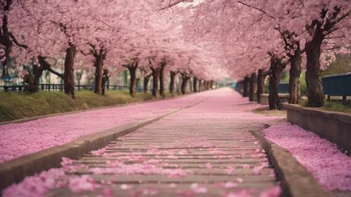 Une allée apaisante bordée de cerisiers en fleurs, la citation « Ne précipitez rien. Quand le moment sera venu, cela arrivera. » flottant comme des pétales dans le vent.