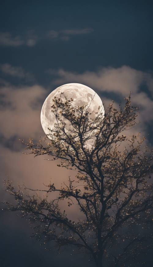 月の光が柔らかい幻想的な輝きを放つ雲に覆われた濃い青い空