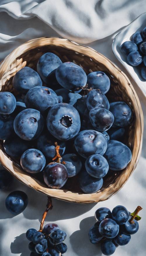 Still life painting featuring an array of dark blue fruits Шпалери [62a3441e968a4ee0b454]