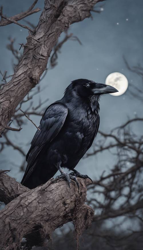 A cute raven perched on a gnarled branch against a full moon in a starless sky.