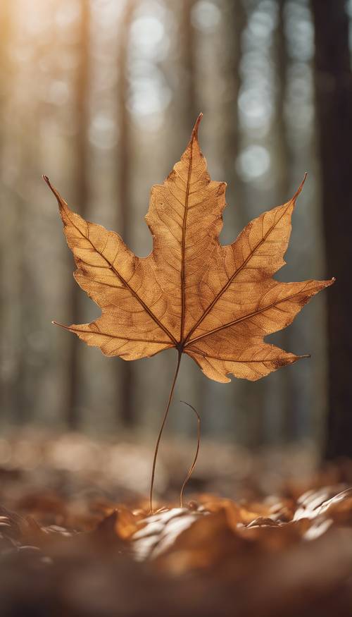 Dynamiczny obraz brązowego liścia niesiony przez delikatny wietrzyk w cichym lesie.