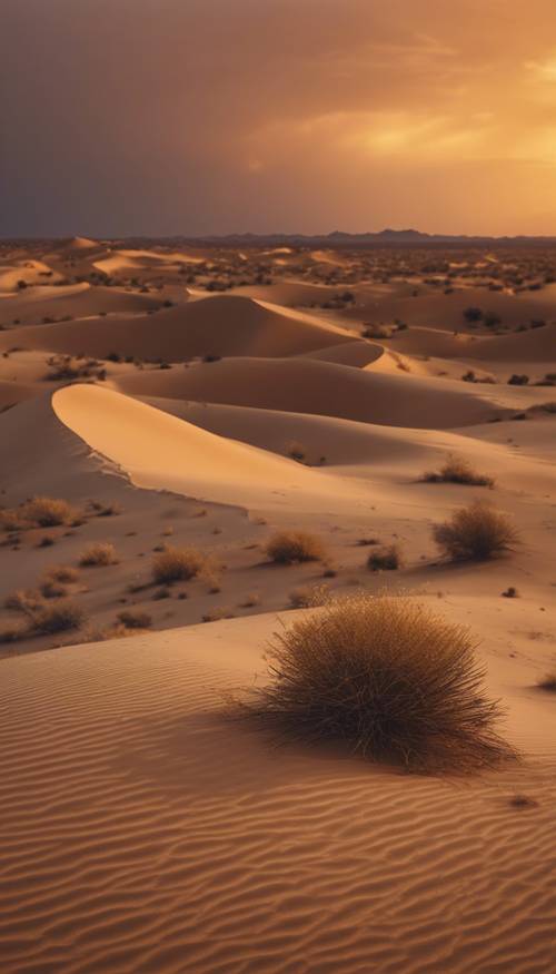 해질녘의 광활한 사막 풍경, 갈색 폭풍우 구름에 태양이 황금빛 색조를 드리우고 있습니다.