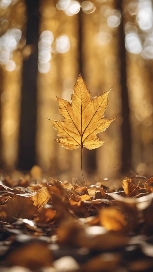 Uma folha dourada de outono caindo graciosamente de uma árvore em uma floresta.