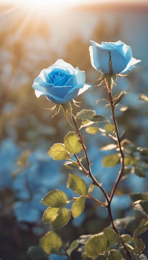 Una rosa azul cielo en plena floración bajo el sol de la mañana.