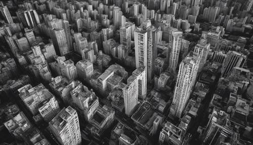 A black and white picture illustrating a dense urban jungle from a bird's eye view.