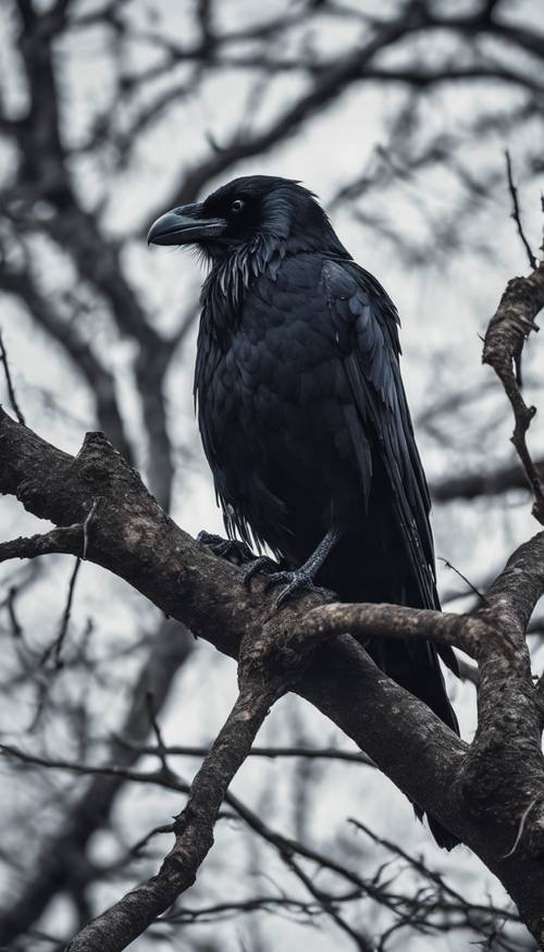 A lone raven perched on a leafless black tree under the dark sky.