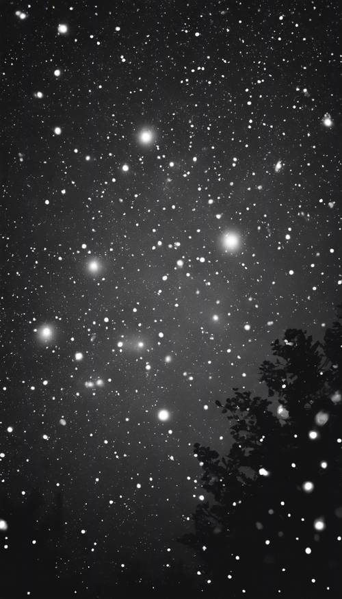 Un cielo nocturno sereno lleno de innumerables estrellas centelleantes, que forman varias constelaciones, todas representadas en un llamativo blanco y negro. Fondo de pantalla [aee81f74084a4e02a7d6]