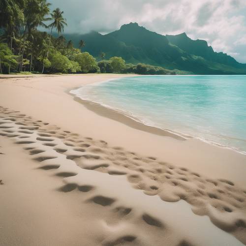 El agua cristalina de color turquesa y la suave arena de la Bahía de Hanalei en Kauai.