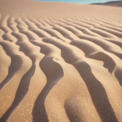 沙漠中浅米色沙子的特写图像