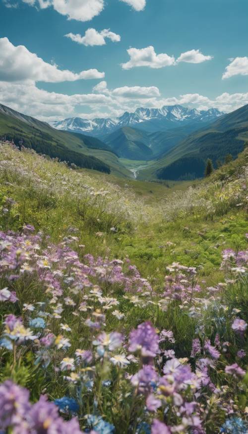 Um amplo vale montanhoso exuberante com flores silvestres primaveris sob um céu azul claro.