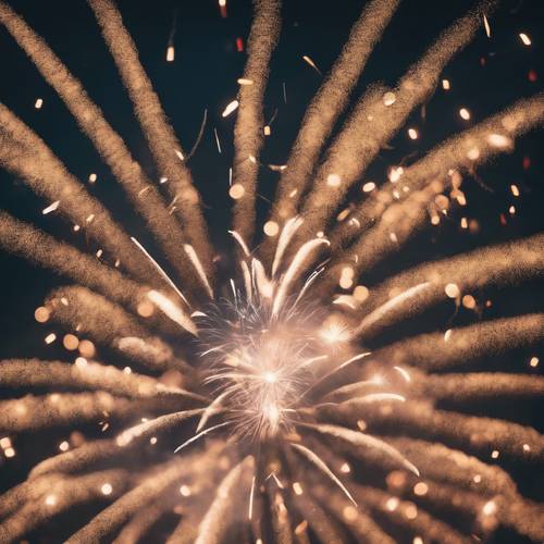 Il cielo si è riempito di abbaglianti fuochi d&#39;artificio alla vigilia di Capodanno.