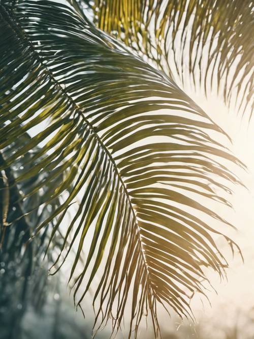 Pojedynczy, podświetlany, półprzezroczysty liść palmowy na tle porannego nieba.