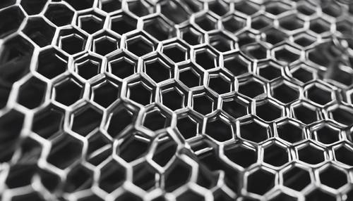 A model of a beehive's honeycomb pattern magnified infinite times in a contradicting black and white colour scheme.