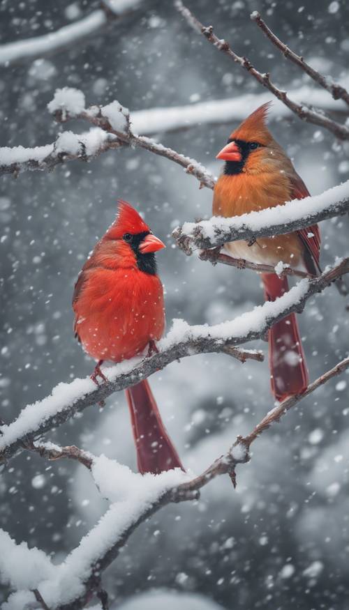 Una pareja de cardenales rojos sentados en ramas cubiertas de nieve en medio de una tormenta invernal.