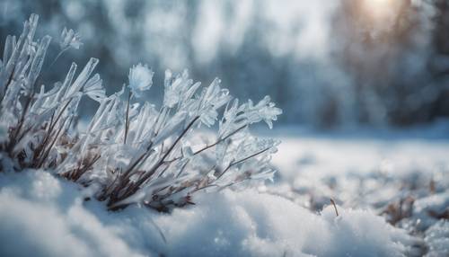 Снежные ледяные цветы с оттенками синего в зимнем пейзаже