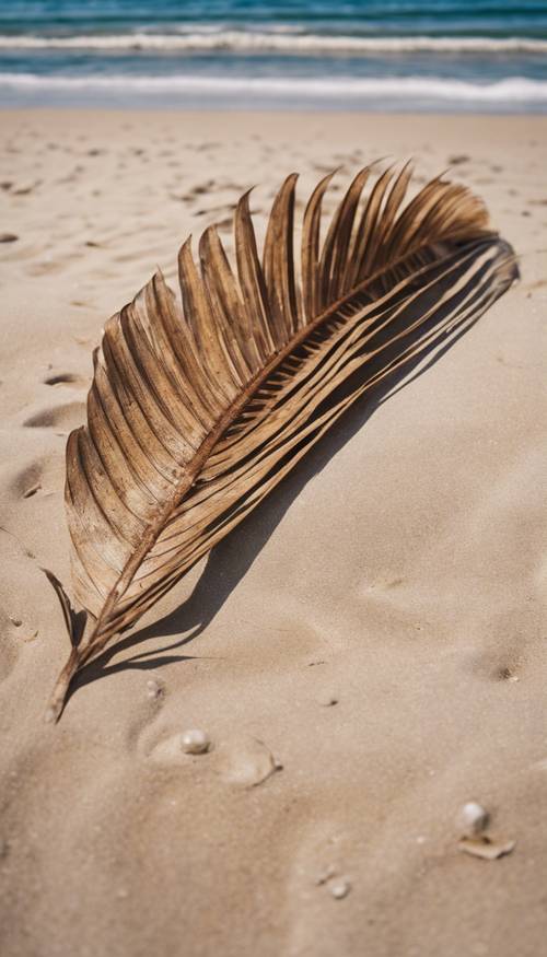 Uma folha de palmeira caída, ficando marrom, caída em uma praia arenosa com a maré batendo nas bordas.