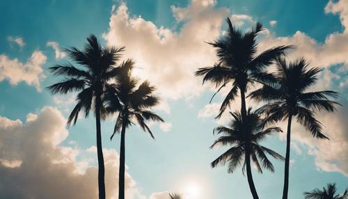 Silhouetten von Palmen unter einem tropischen Himmel mit einem strahlend hellblauen Stern.