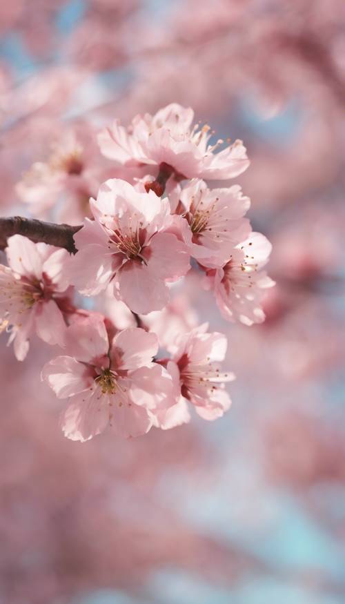 やさしいピンクの水彩で描かれた咲き誇る桜の木
