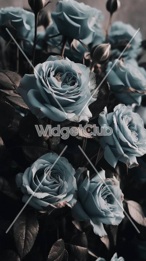 Blaue Rosen in einem dunklen, mystischen Garten