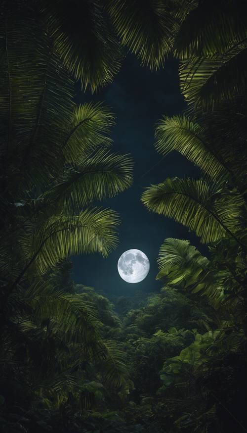 Una vista di un baldacchino scuro e fitto della giungla tropicale a mezzanotte sotto la luna piena.