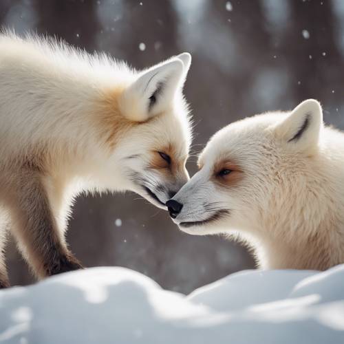 Ein Weißfuchs und ein Braunbärjunges berühren in einem zarten Moment der winterlichen Wildnis vorsichtig ihre Nasen.