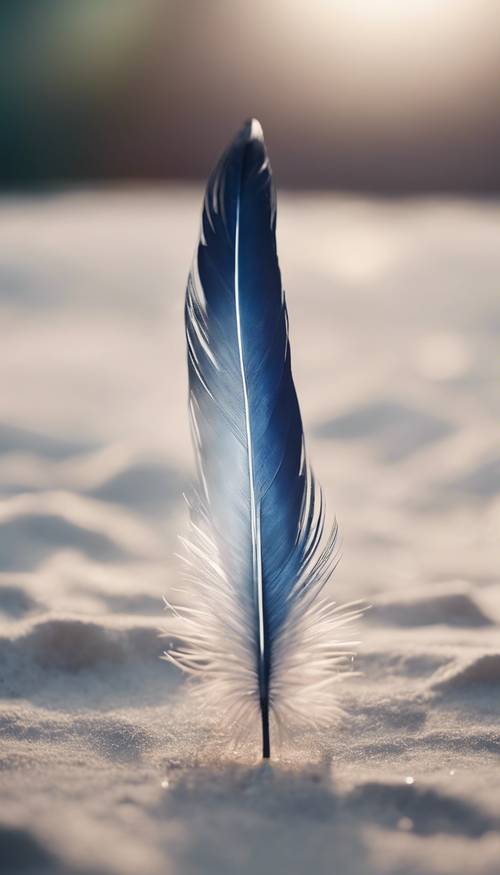 一根羽毛，具有从深蓝色到白色的深色美学渐变色彩。