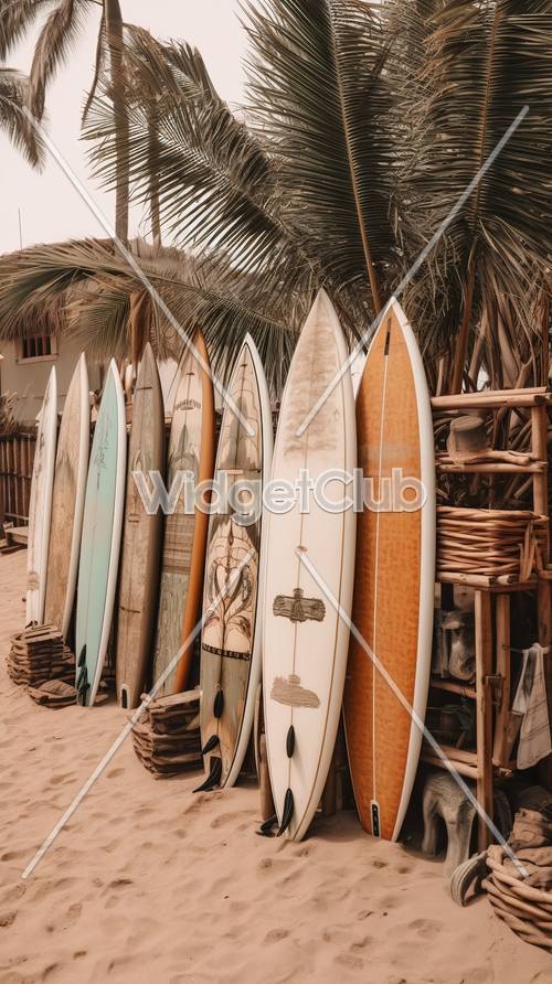 Kolorowe deski surfingowe na piasku