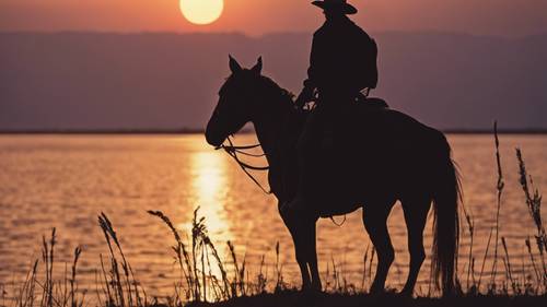 Un cowboy al tramonto, la sua sagoma si staglia contro il sole che tramonta creando una scena di solitario onore.