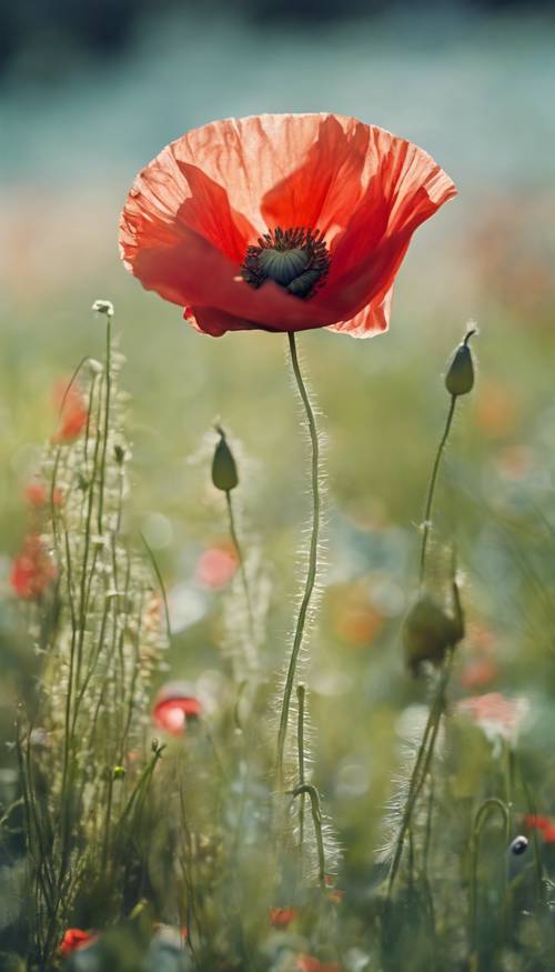 Illustrated, whimsical red poppy with broad petals, situated in a high fantasy, lush meadow.